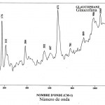 Glaucophane (FTR)