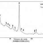 Lepidolite (FTR)